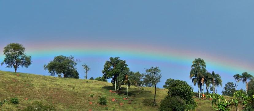 /images/videos-e-fotos/melhores-fotos/melhores_fotos (140).jpeg