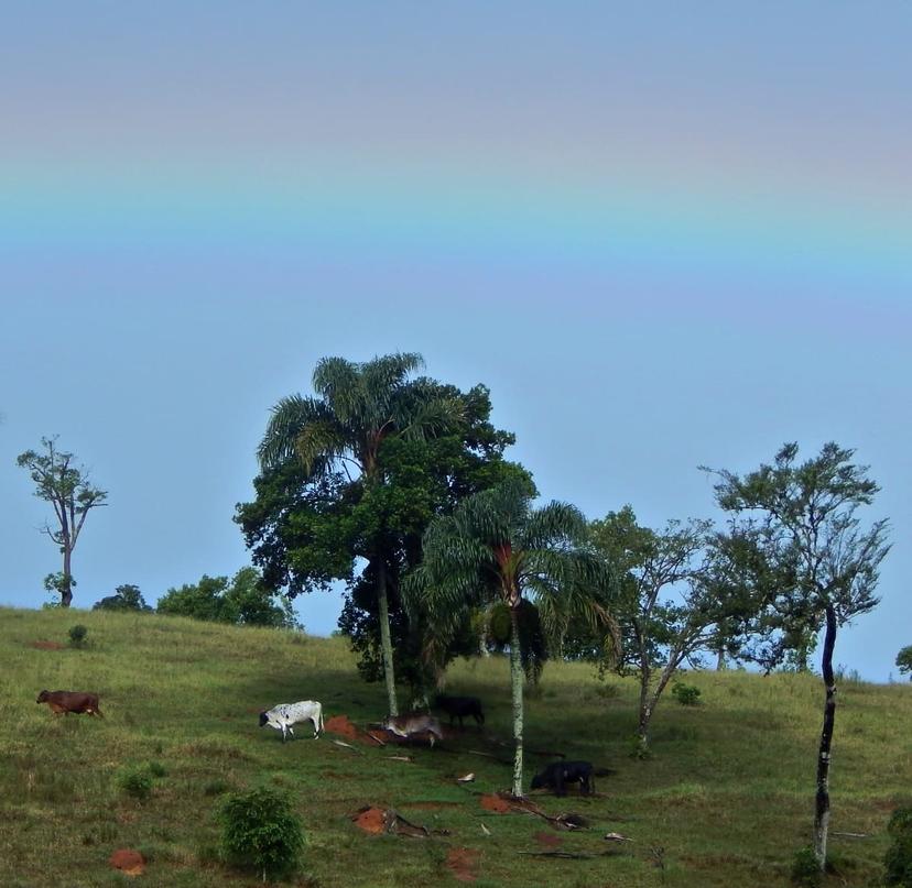 /images/videos-e-fotos/melhores-fotos/melhores_fotos (60).jpeg